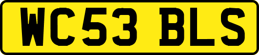 WC53BLS