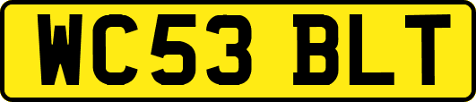WC53BLT