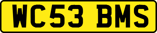 WC53BMS