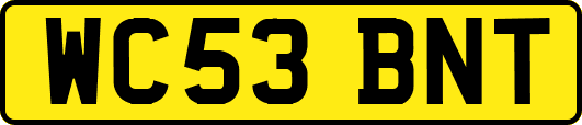 WC53BNT