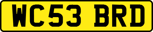 WC53BRD