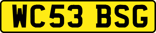 WC53BSG