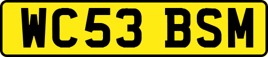 WC53BSM
