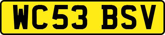 WC53BSV