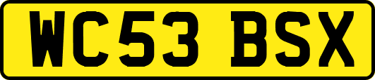 WC53BSX