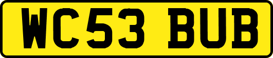 WC53BUB