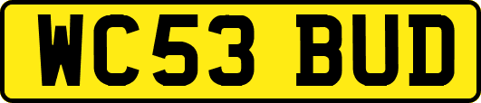WC53BUD