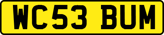 WC53BUM