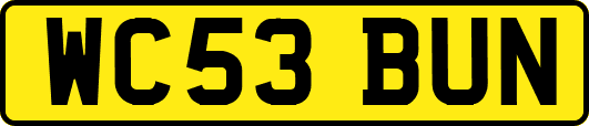 WC53BUN