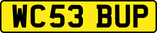 WC53BUP