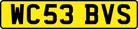 WC53BVS