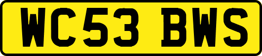 WC53BWS