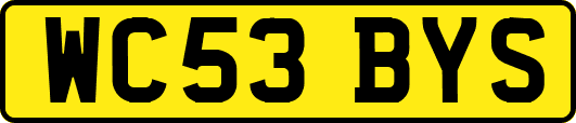 WC53BYS