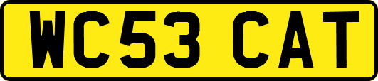 WC53CAT