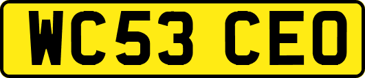WC53CEO