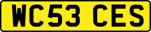 WC53CES