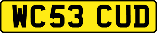 WC53CUD