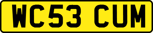 WC53CUM