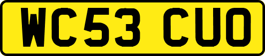 WC53CUO