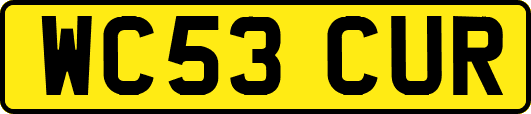 WC53CUR