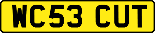 WC53CUT