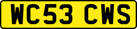 WC53CWS
