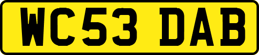 WC53DAB