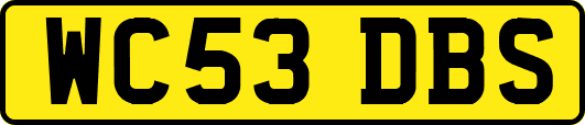WC53DBS