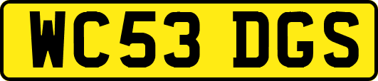 WC53DGS