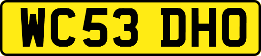 WC53DHO