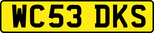 WC53DKS