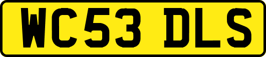WC53DLS