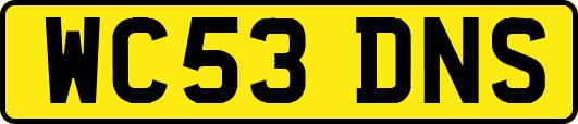 WC53DNS