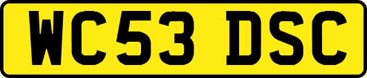 WC53DSC