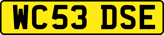 WC53DSE
