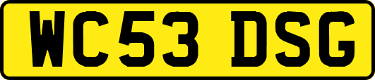 WC53DSG