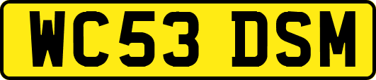 WC53DSM