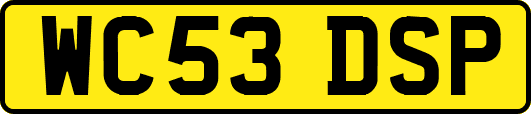 WC53DSP