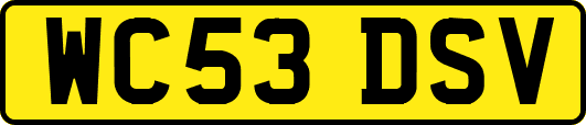 WC53DSV