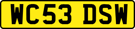 WC53DSW
