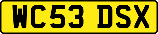 WC53DSX