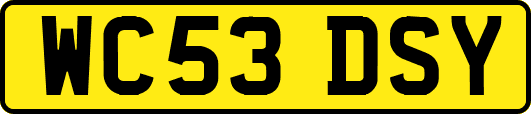 WC53DSY