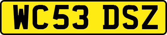 WC53DSZ