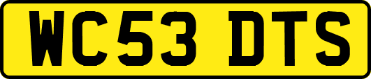 WC53DTS