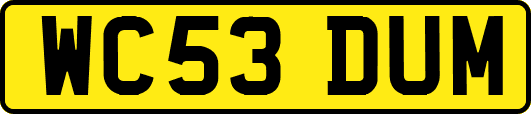 WC53DUM
