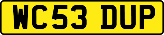 WC53DUP