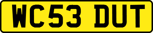 WC53DUT