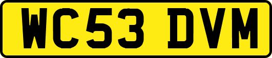 WC53DVM