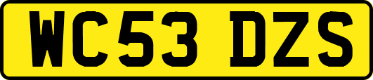 WC53DZS