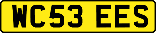 WC53EES